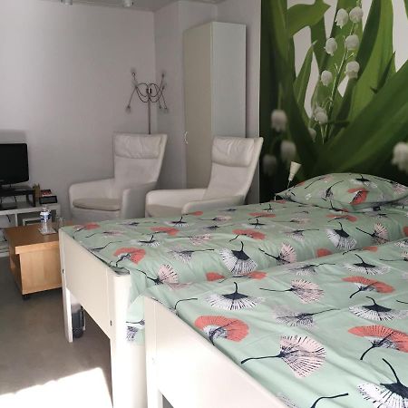 Bed & Breakfast De Ijsvogel ดอร์เวิร์ธ ภายนอก รูปภาพ